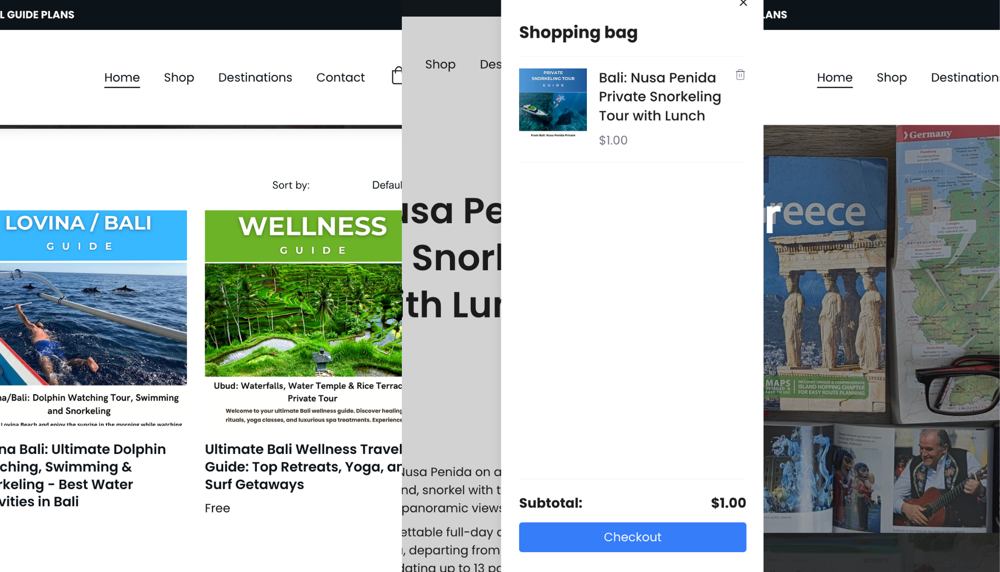 Interface e-commerce Travel Guides Shop avec grille de produits et panier